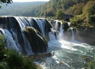 Letter from Philippopolis 15th November 1914