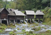 The Harbour of Kaisarius and Its Origins